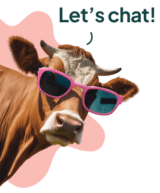 Click here to contact MOO about our marketing agency services