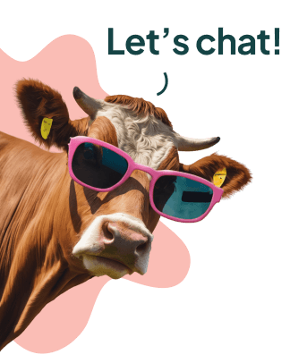 Click here to get in contact with MOO Marketing & Design 